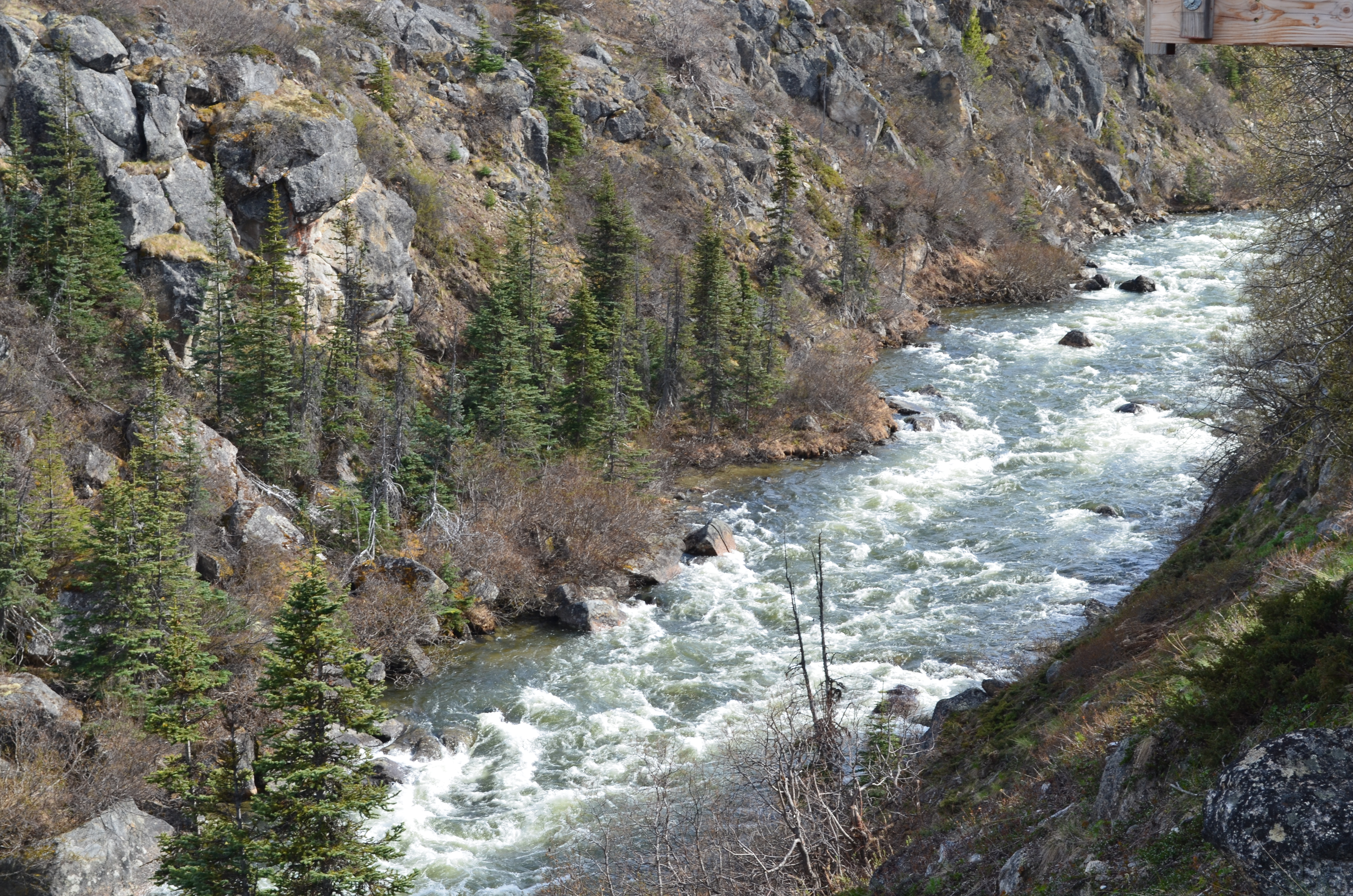 ./2017/08 - Alaska Cruise/09 - Skagway/DSC_0065.JPG